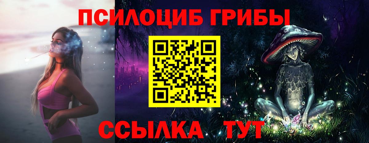 Новоалександровск  Псилоцибиновые грибы ЛСД  Вход с VPN 